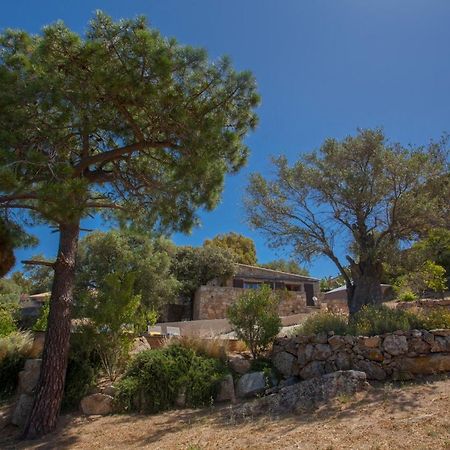 Villa Bodri, Maison En Pierre Avec Vue Mer Et Piscine Chauffee LʼÎle-Rousse Buitenkant foto