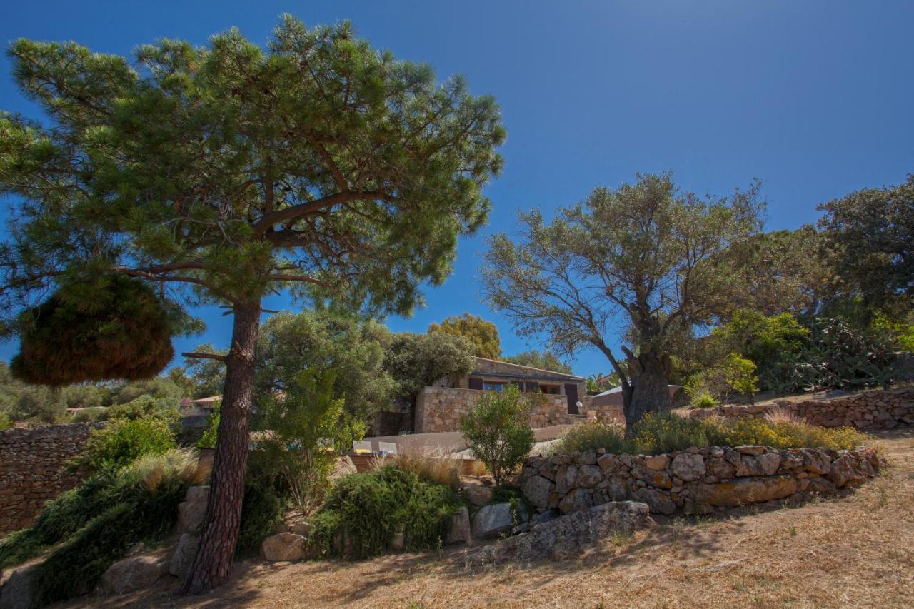 Villa Bodri, Maison En Pierre Avec Vue Mer Et Piscine Chauffee LʼÎle-Rousse Buitenkant foto