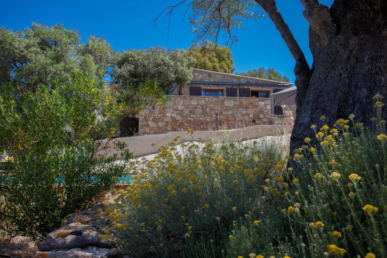Villa Bodri, Maison En Pierre Avec Vue Mer Et Piscine Chauffee LʼÎle-Rousse Buitenkant foto