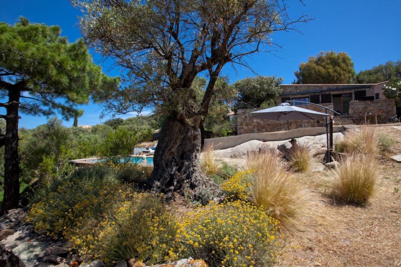 Villa Bodri, Maison En Pierre Avec Vue Mer Et Piscine Chauffee LʼÎle-Rousse Buitenkant foto